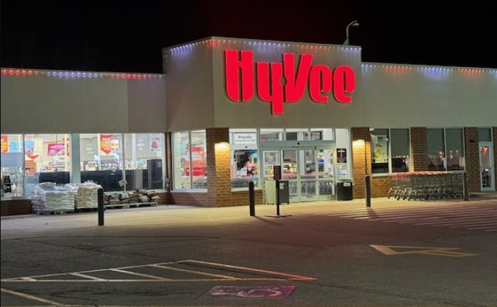 Professional Holoday Lighting Service