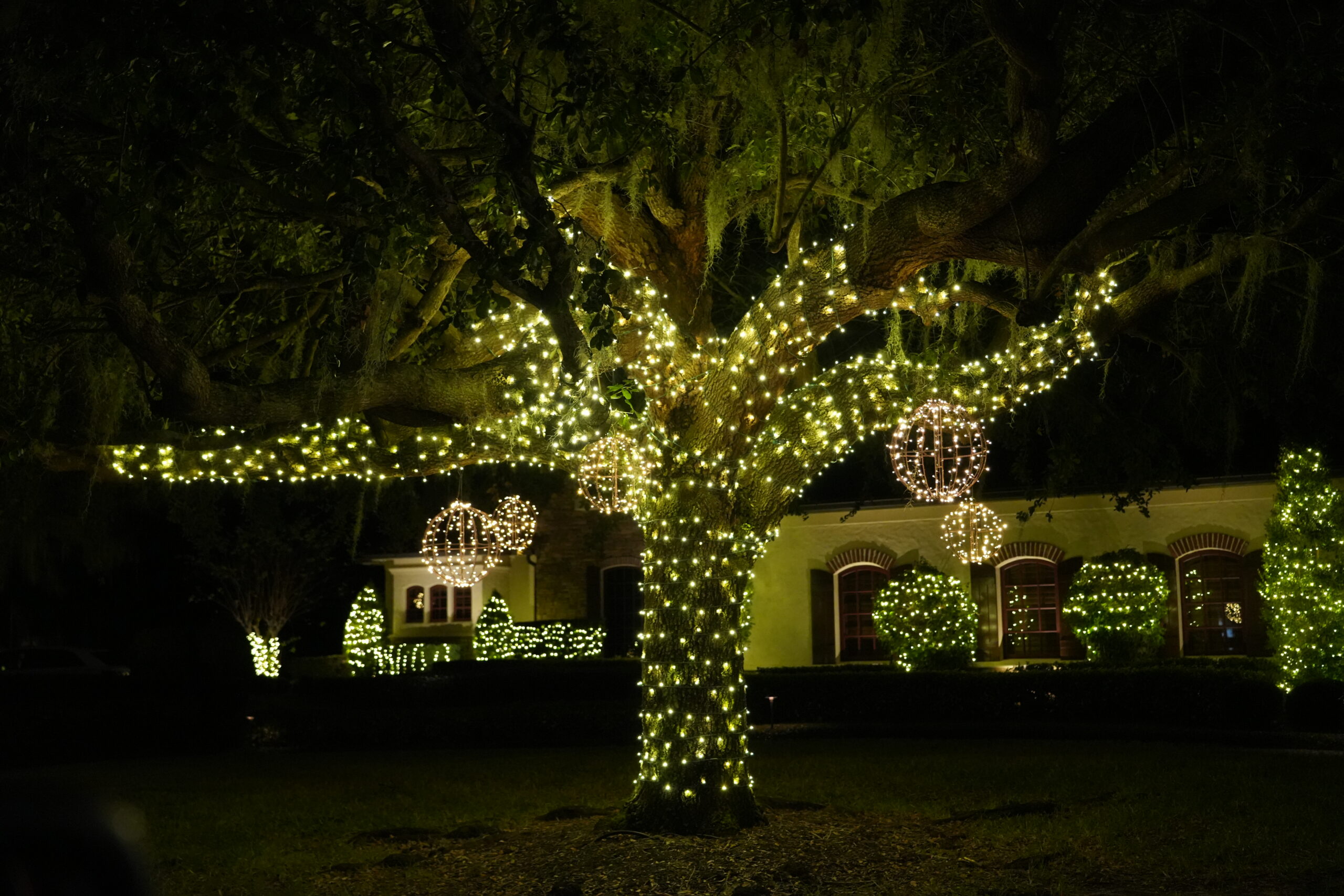 Colorful holiday lighting